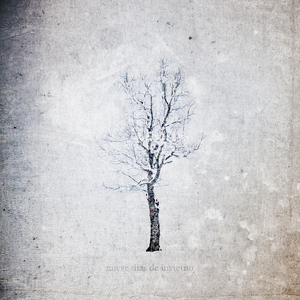 香蕉视频改名是什么
